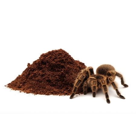 Spider Substrate - gotowe podłoże dla pająków 5L